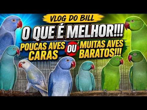 Identificação em Criatórios de Aves de Elite