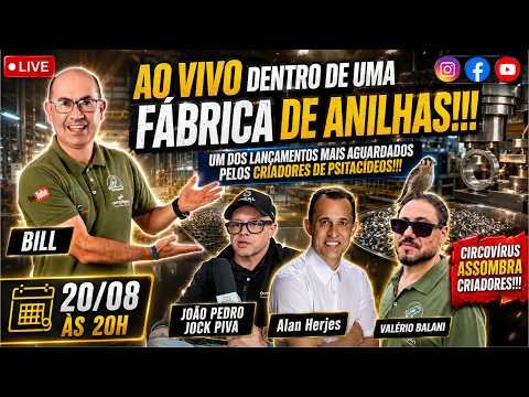 Fábrica com João Pedro Jock Piva