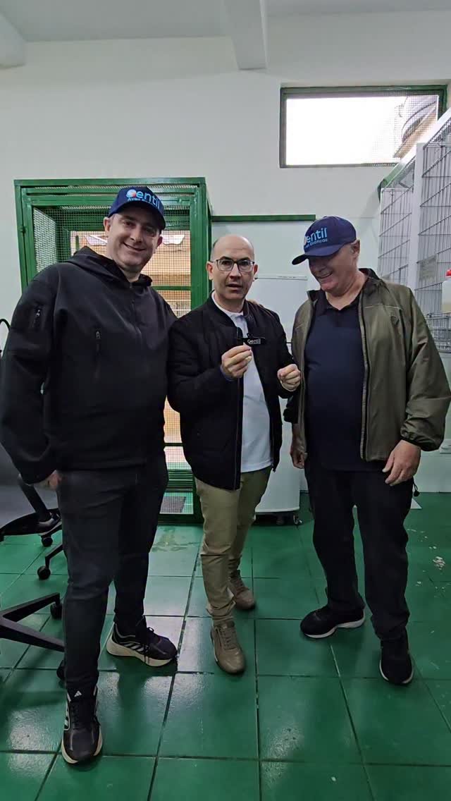 Bill Pássaros