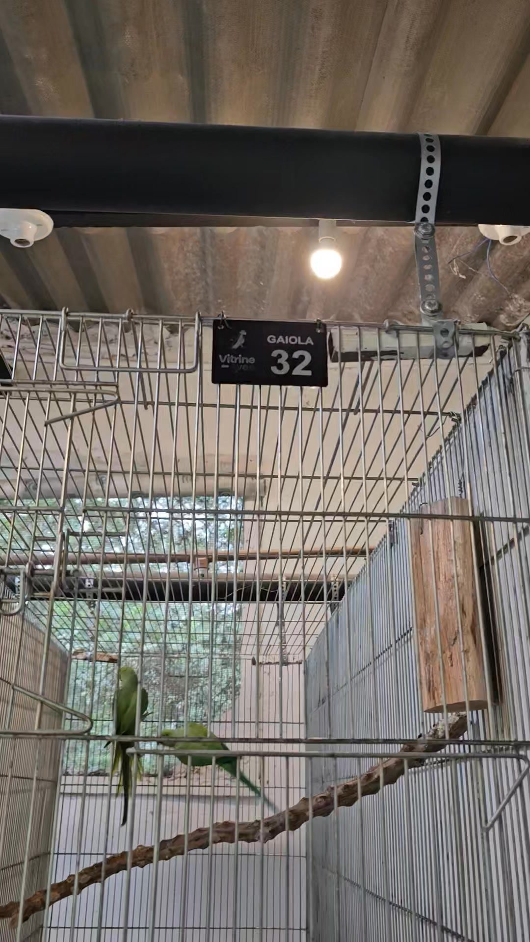 Placas para gaiolas de pássaros